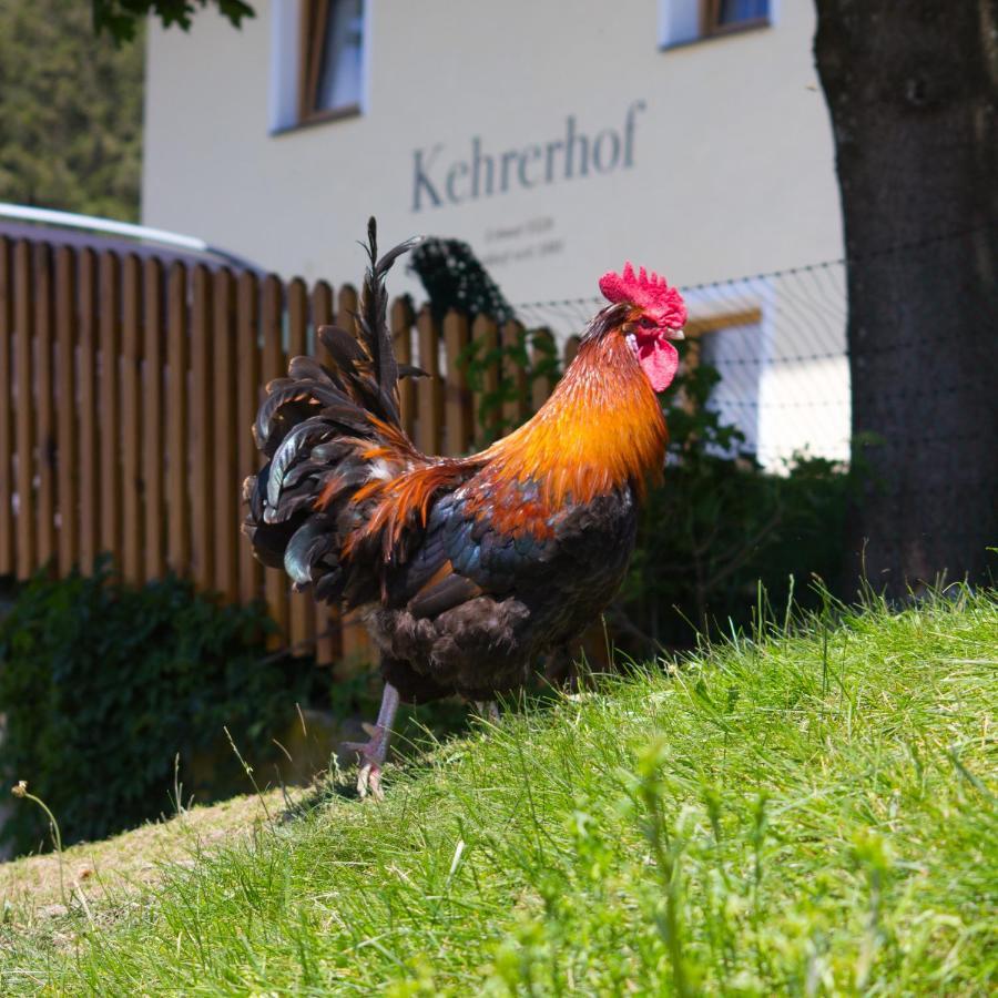 Kehrerhof Hotel Ellbögen Exterior foto